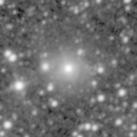 Survey preview for NGC 262