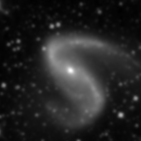 Survey preview for NGC 2442