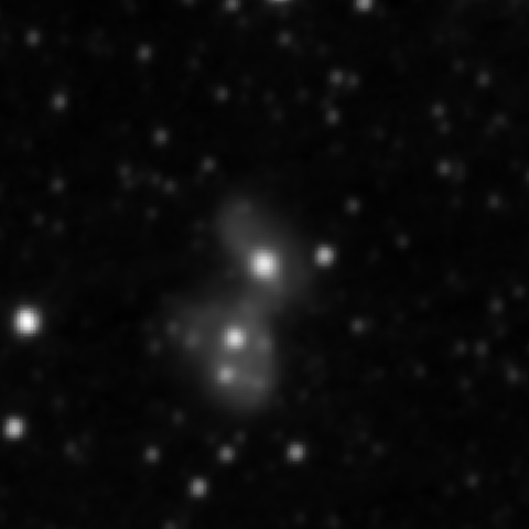 Survey preview for NGC 2444