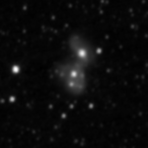 Survey preview for NGC 2445