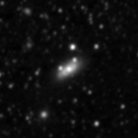 Survey preview for NGC 2446