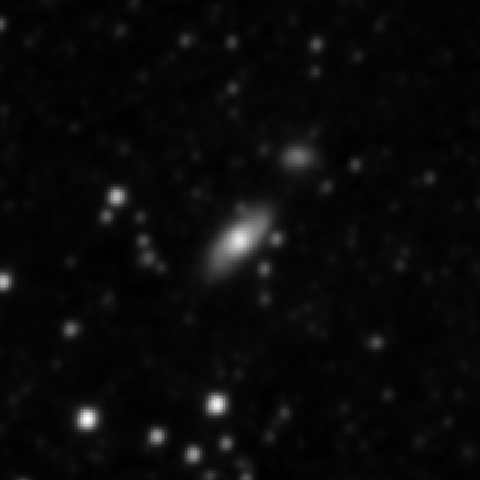 Survey preview for NGC 2449