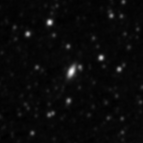 Survey preview for NGC 2450