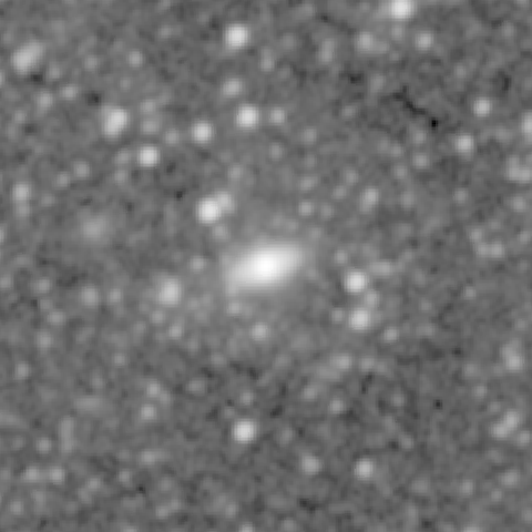 Survey preview for NGC 264