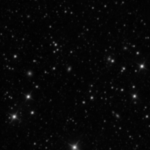 Survey preview for NGC 2461