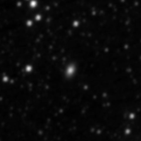 Survey preview for NGC 2462
