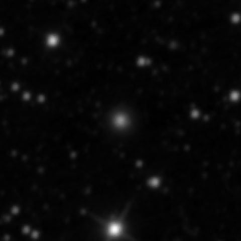 Survey preview for NGC 2463