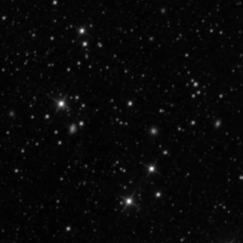Survey preview for NGC 2464