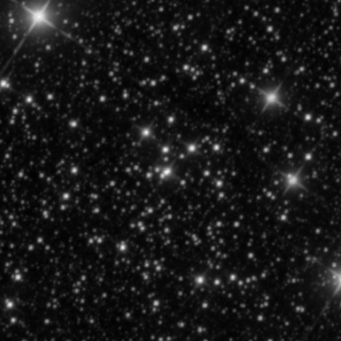 Survey preview for NGC 2478