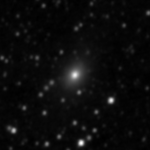 Survey preview for NGC 2484