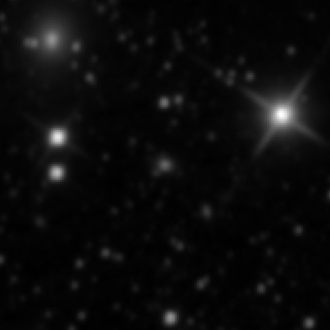 Survey preview for NGC 2491