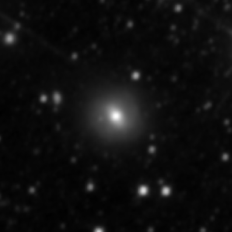 Survey preview for NGC 2493