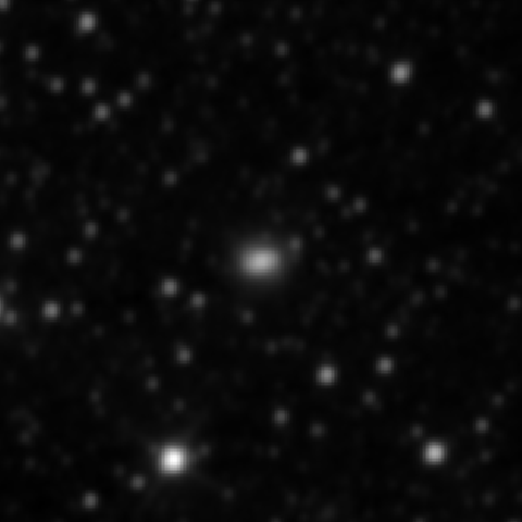 Survey preview for NGC 2494