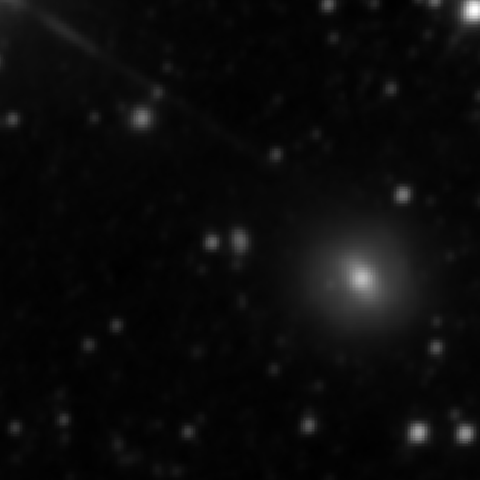 Survey preview for NGC 2495