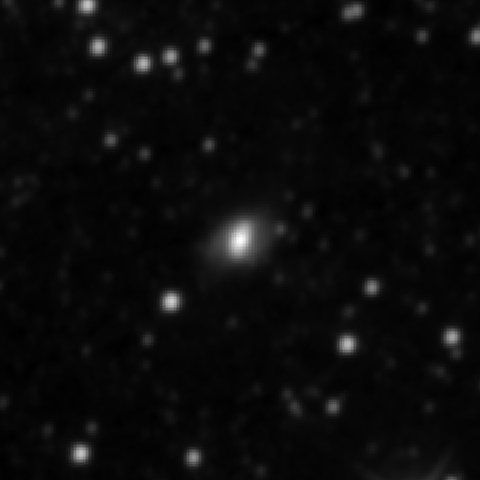 Survey preview for NGC 2498