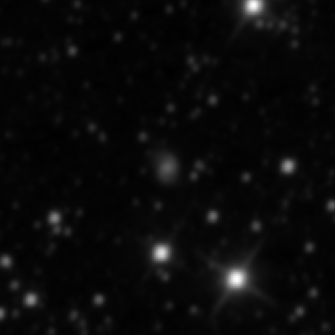 Survey preview for NGC 2499