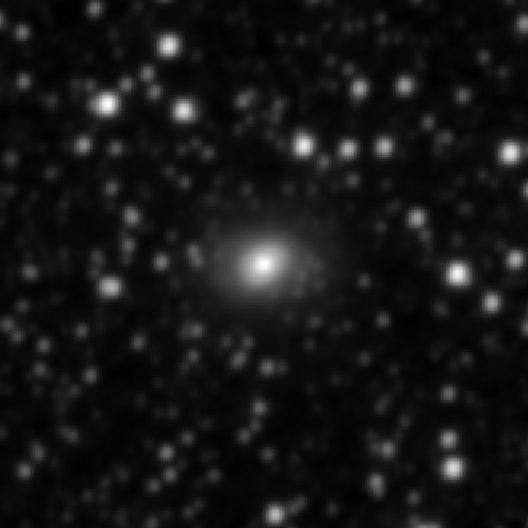 Survey preview for NGC 2501