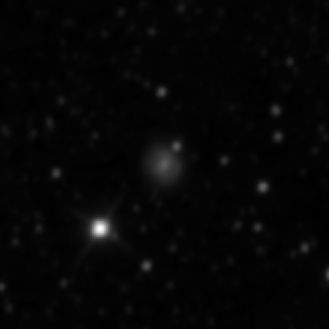Survey preview for NGC 2503