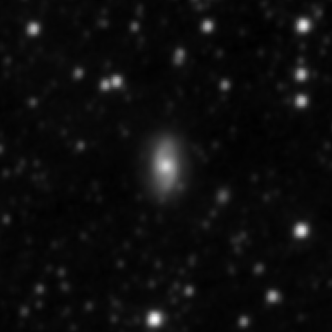 Survey preview for NGC 2505