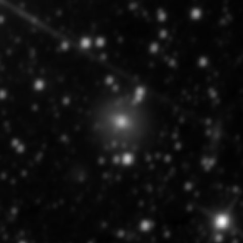 Survey preview for NGC 2517