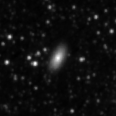 Survey preview for IC 1231
