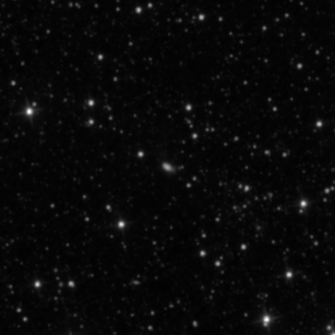 Survey preview for IC 1233