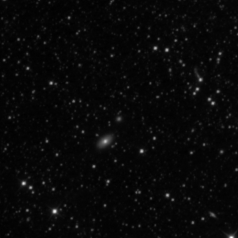 Survey preview for IC 1239