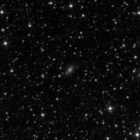 Survey preview for IC 1300