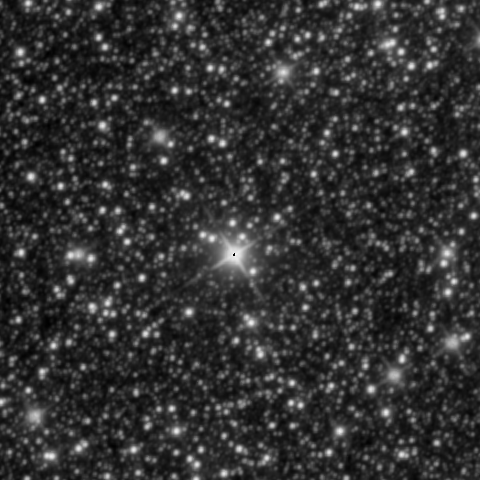 Survey preview for IC 1305