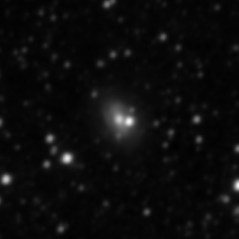 Survey preview for IC 1313