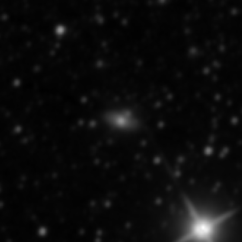 Survey preview for IC 1333