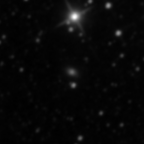 Survey preview for IC 1341