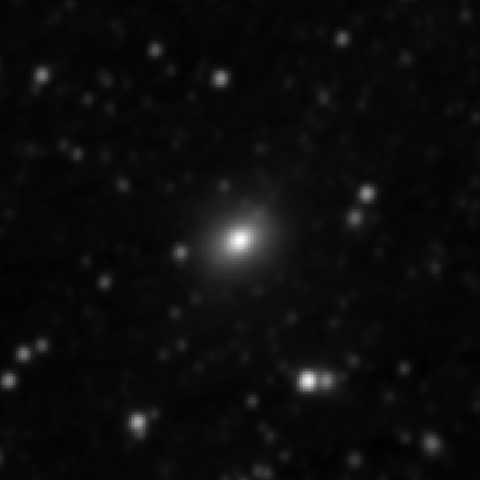 Survey preview for NGC 2524