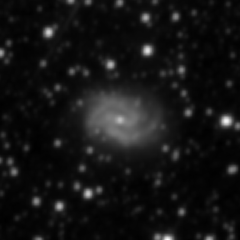 Survey preview for NGC 2525
