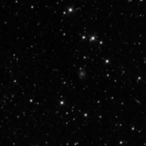 Survey preview for NGC 2531