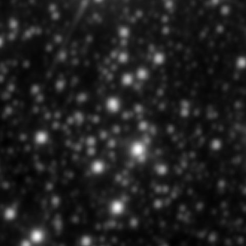 Survey preview for NGC 2533