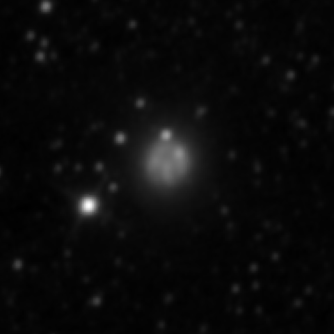 Survey preview for NGC 2537