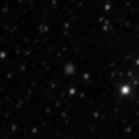 Survey preview for NGC 2537A