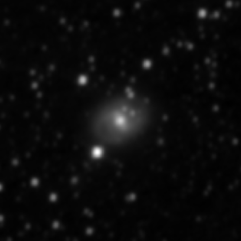 Survey preview for NGC 2555