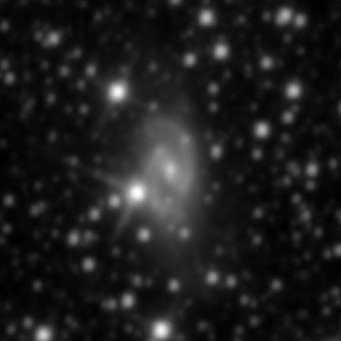 Survey preview for NGC 2559
