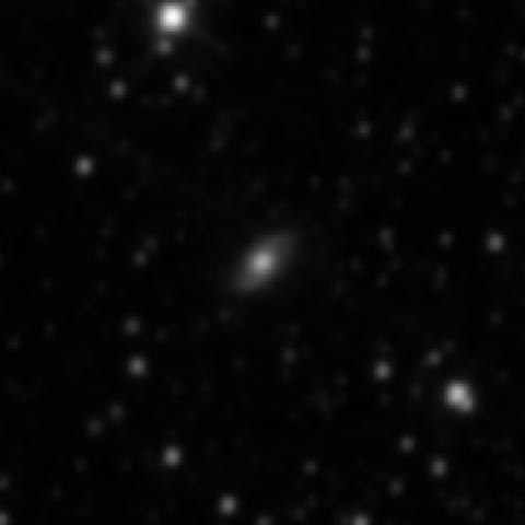 Survey preview for NGC 2561