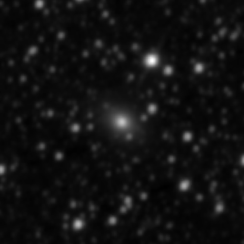 Survey preview for NGC 2564