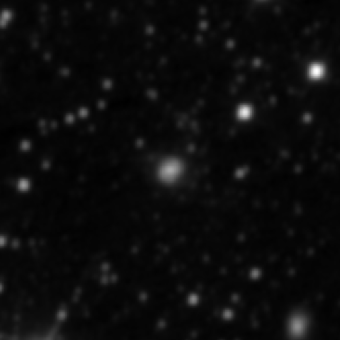 Survey preview for NGC 2585