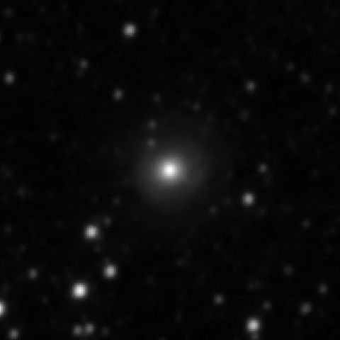 Survey preview for NGC 2599
