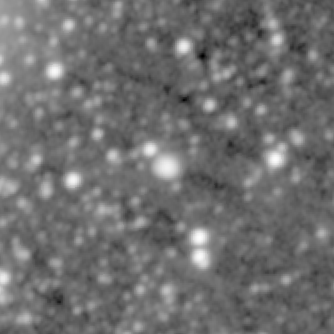 Survey preview for NGC 295