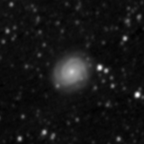 Survey preview for NGC 2614
