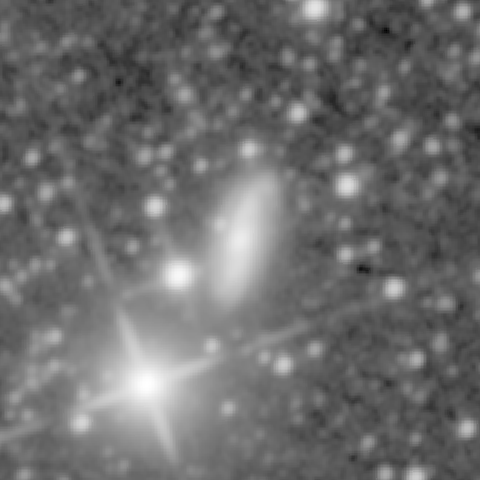 Survey preview for NGC 296