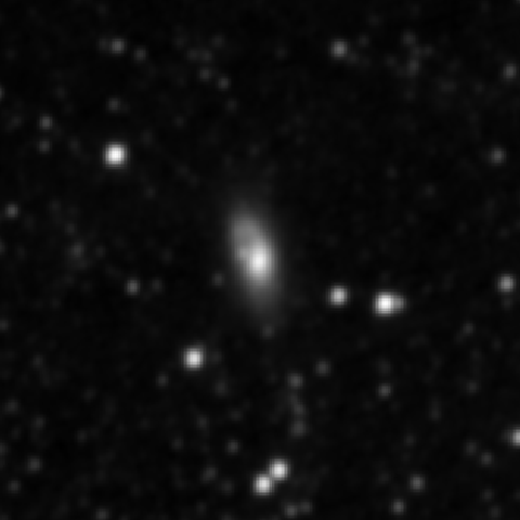 Survey preview for NGC 2644