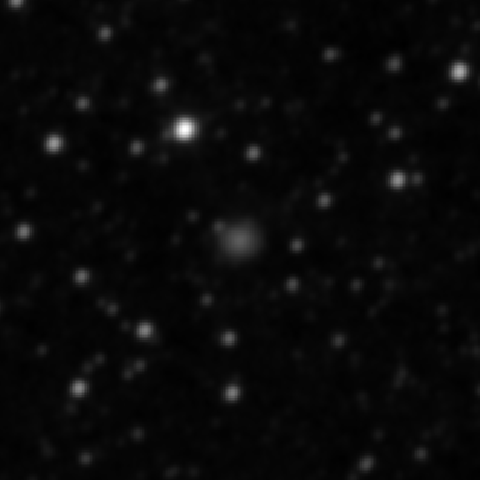 Survey preview for IC 1384