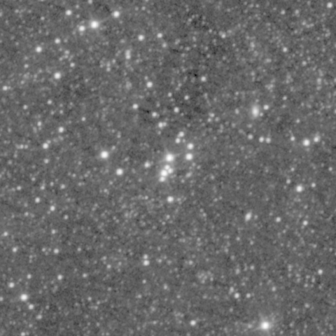 Survey preview for NGC 305